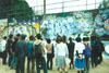 Studying Wall
