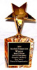 ACCOLADE  AWARDS  - GV4: The Basic Techniques for Creating Graffiti Art -  2003 Art Instruction
