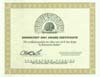 Brainstorm Certificate