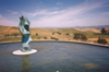Outside Artesa Winery