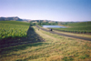 Wine Country